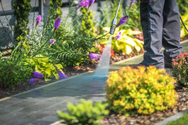 Best Animal Enclosure Cleaning  in Greensboro, MD